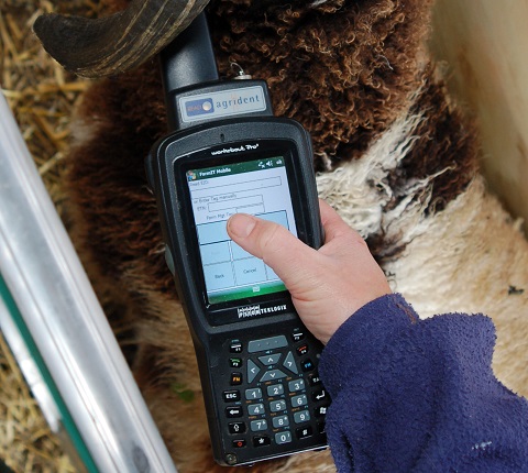 FarmIT Mobile Software ON Psion